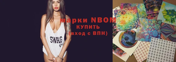 хмурый Михайловск