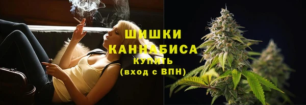 сатива Михайловск
