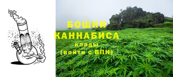 сатива Михайловск