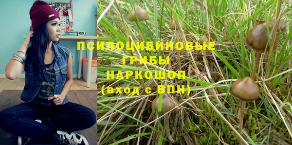 ALPHA PVP Михайловка
