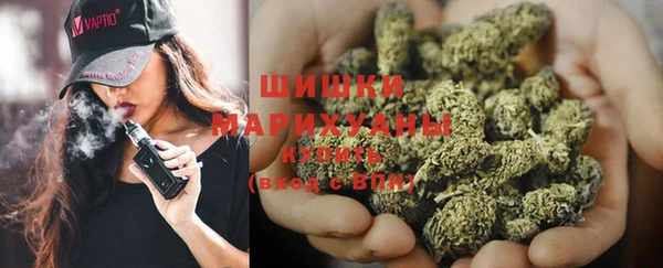 сатива Михайловск